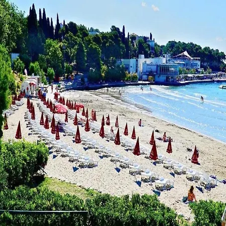 Art Center * 斯普利特